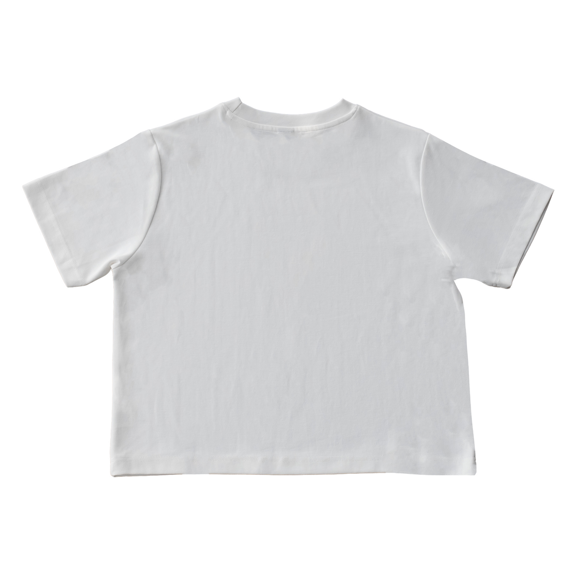 Under A Holy Influence Women's T-shirt