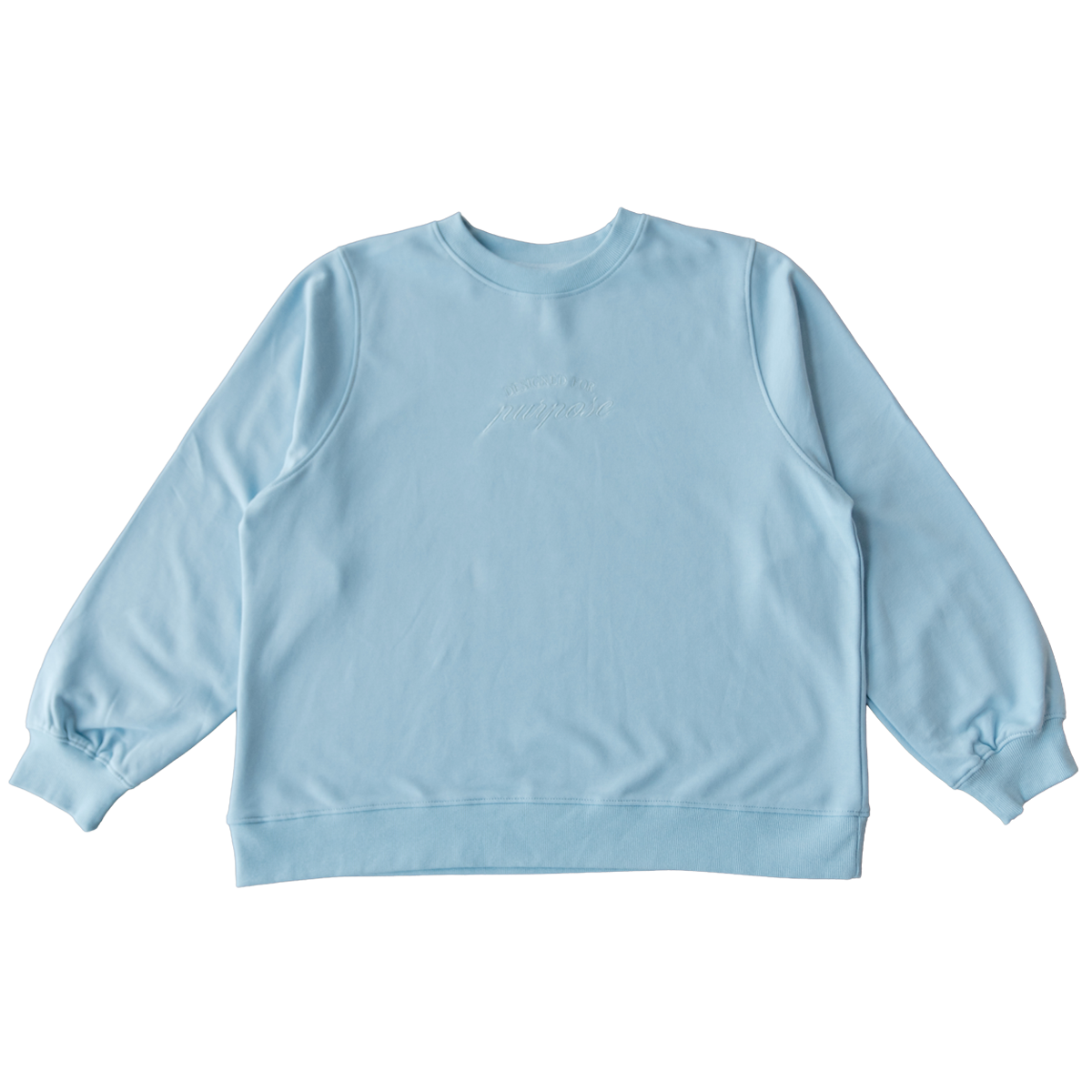 Designed For Purpose Women's Sweater (Baby Blue)